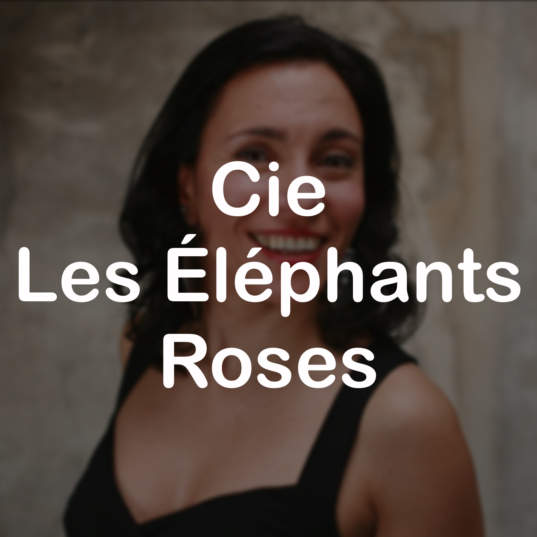 Cie Les Éléphants Roses
