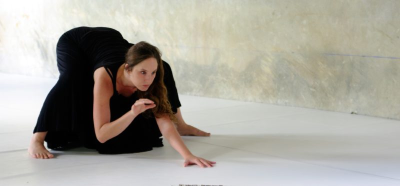 Musicalité Elsa 800x372
