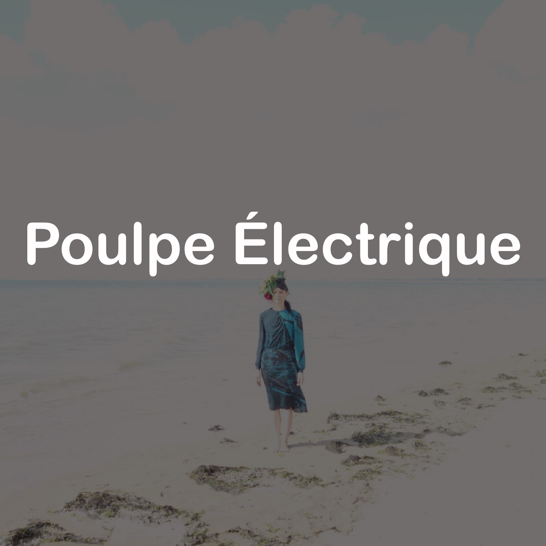 Poulpe Éléctrique