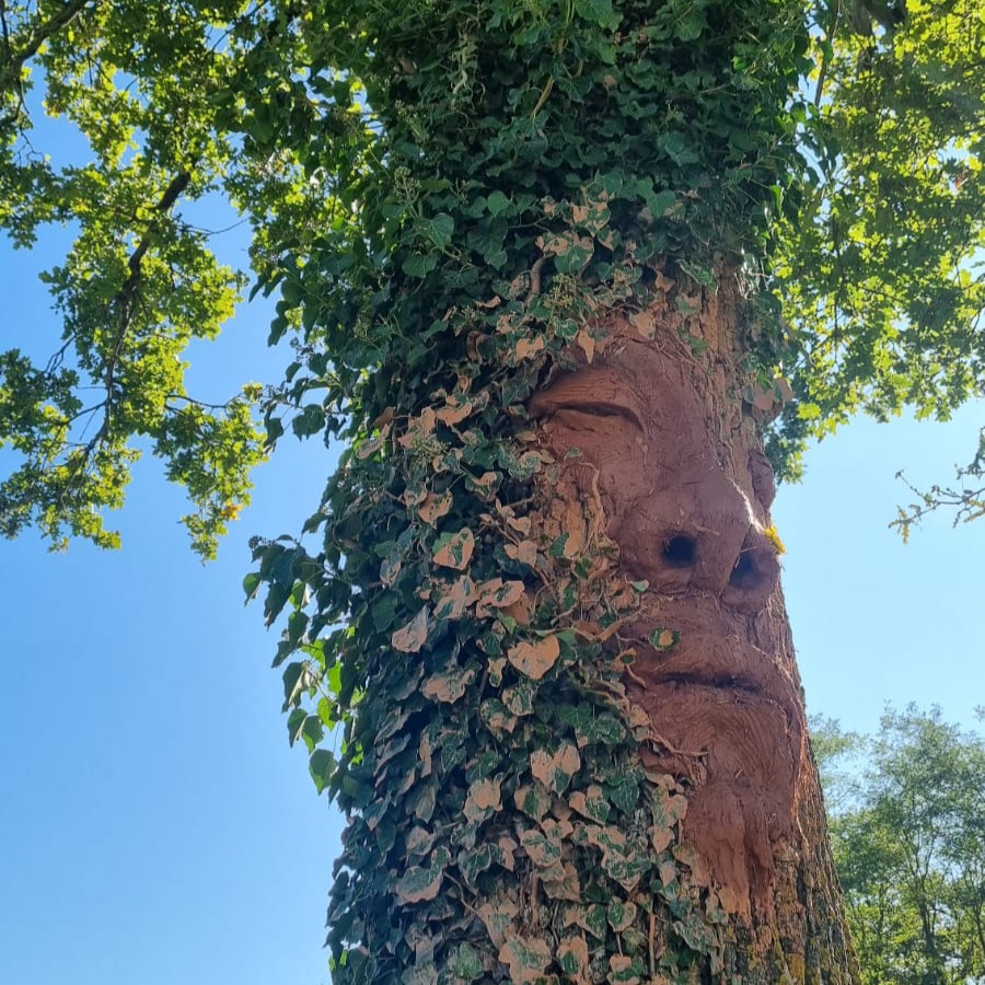 arbre